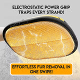 My Pet Buddy  Electrostatic Glove