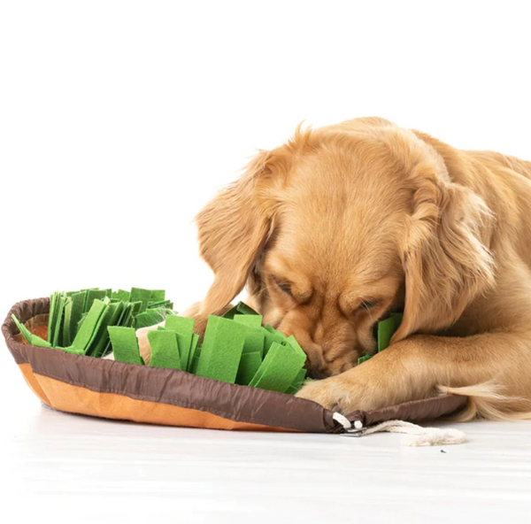 My Pet Buddy Snuffle Mat