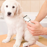 My Pet Buddy 4-In-1 Pet Grooming Kit