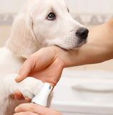 My Pet Buddy 4-In-1 Pet Grooming Kit