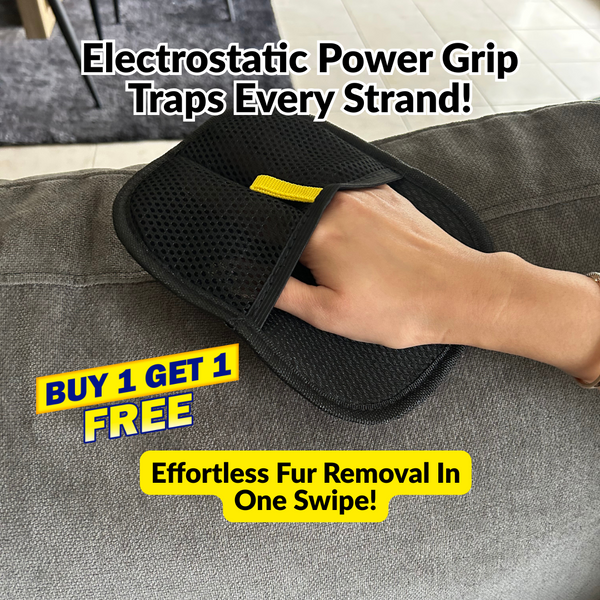 My Pet Buddy  Electrostatic Glove