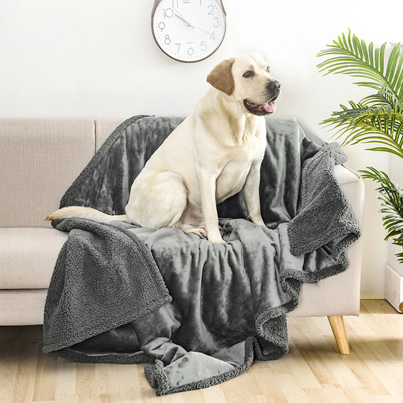 My pet blanket shop