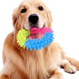 My Pet Buddy 10 Pieces Braided Rope Toys